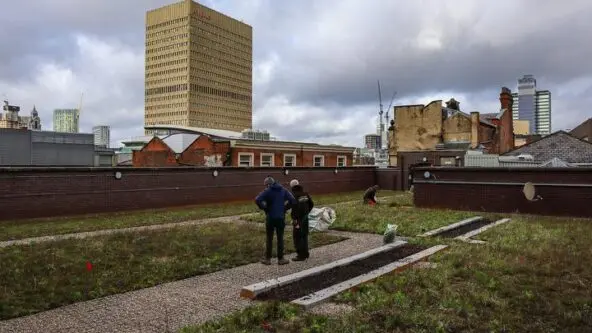 blue-green roof Bruntwood Works, Manchester stores rainwater to avoid sewer floods & irrigate garden