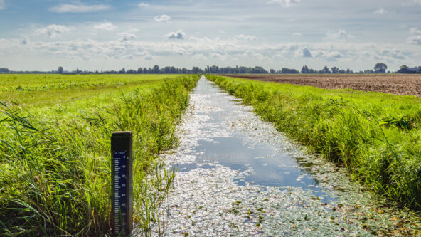 photo water level staff gauge in the drainage ditch