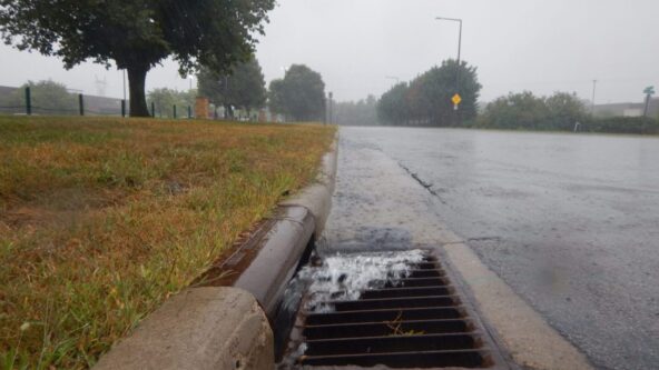 photo tree, grass, curb, storm drain and street as stormwater runoff flows into storm drain | source: Capitol Region Watershed District