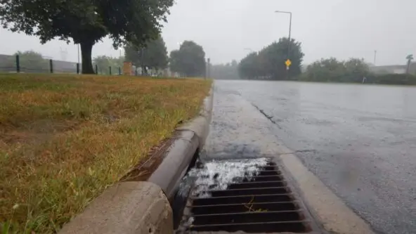 trees, grass & street as stormwater runs off into storm drain via Cap Region Watershed District