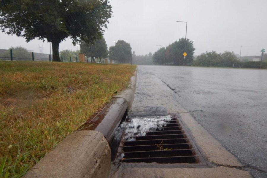 photo tree, grass, curb, storm drain and street as stormwater runoff flows into storm drain | source: Capitol Region Watershed District