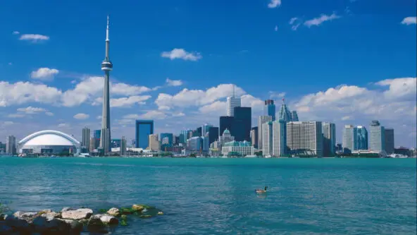 photo skyline of Toronto, Ontario, Canada | alternative perspective with loon in foreground