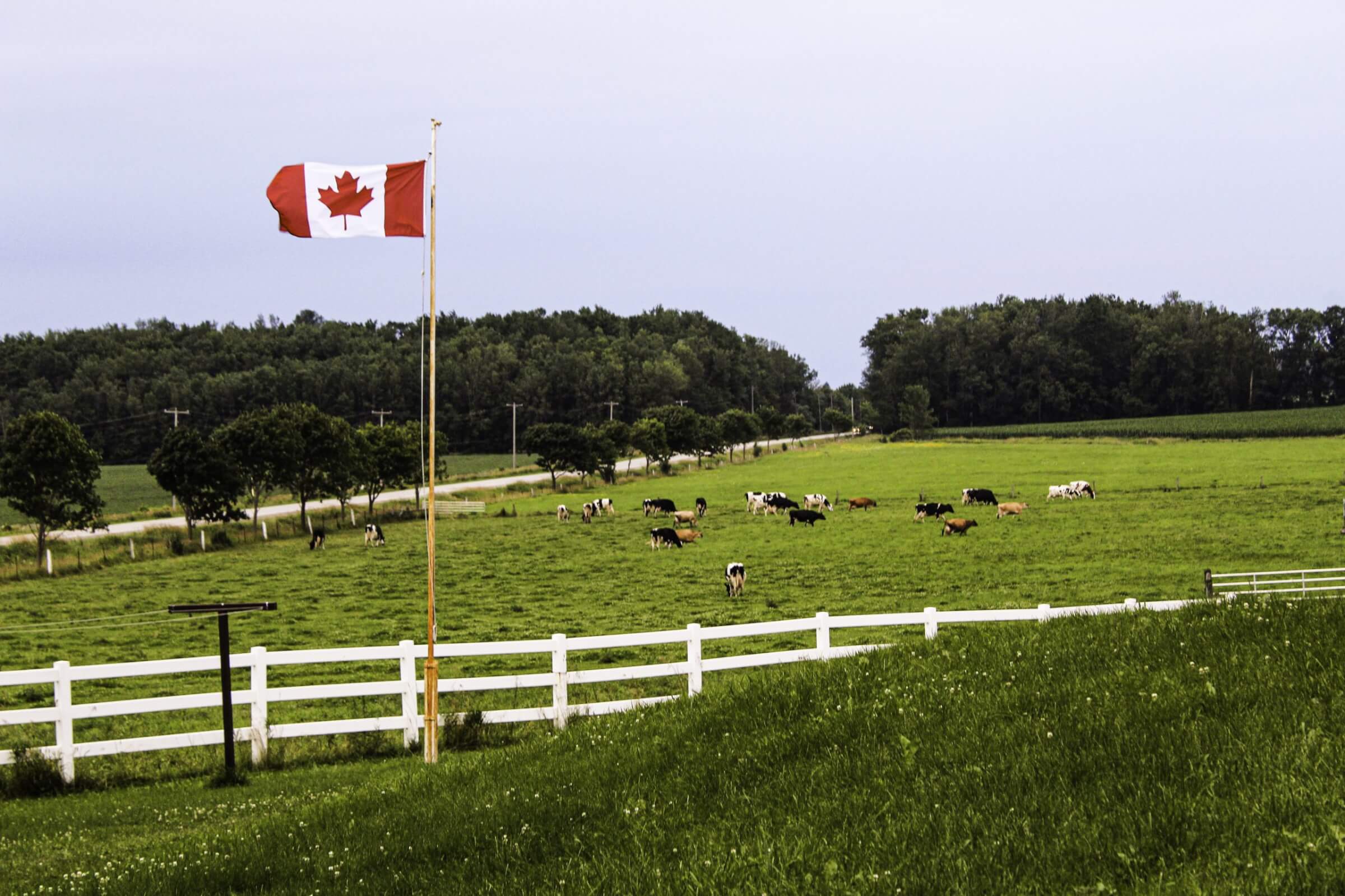 Canada to form a sustainable agriculture strategy Kisters