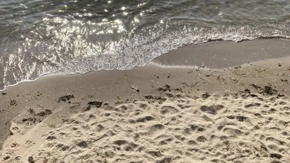 photo of wet sand beach and ebbing wave; grant enables monitoring & improvement of water quality