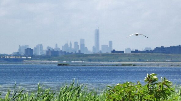 photo of Jamaica Bay Wildlife Refuge in foreground and New York City skyline in the background | source Atlas Obscura