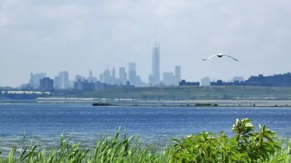 Jamaica Bay Wildlife Refuge / natural wetlands for storm water management of New York City in distance