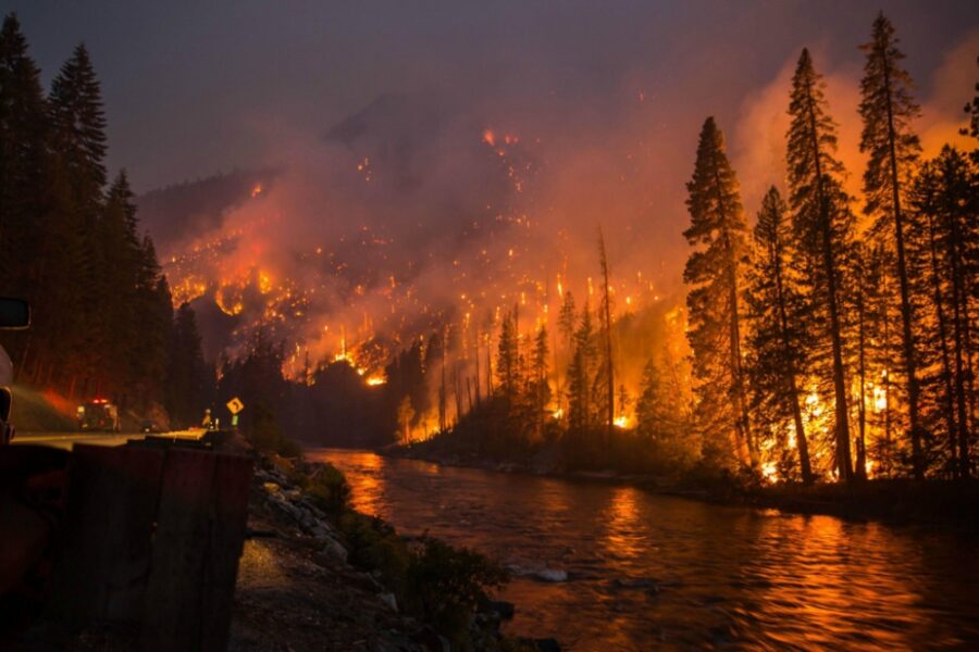 photo take during a wildfire, from left to right, unburnt sentinel trees, an emergency vehicle on a road along a river, and burning forest | source: GEIWorks.com