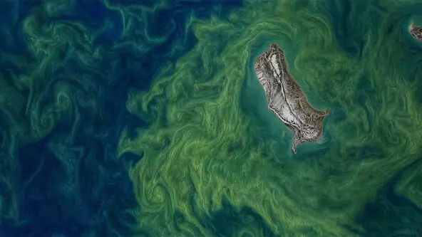 aerial view of ocean salinity shown as swirling greens & blues via NASA oceansciences.org