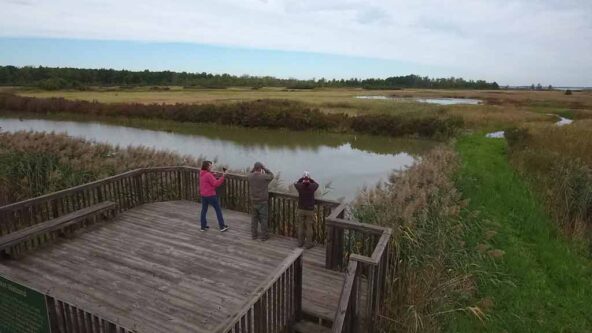 Pickerel Creek Wildlife Area on Sandusky Bay, which flows into Lake Erie; wetlands restoration will improve stormwater management and control flooding risks | source Ohio Department of Natural Resources (DNR)