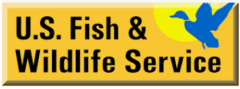 alternative United States Fish and Wildlife Service (USFWS) logo or buttercup-colored rectangle with blue migratory bird and yellow sun in the upper right corner | source US FWS