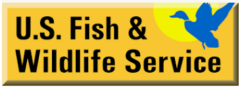 alternative U.S. Fish & Wildlife Service (USFWS) logo with buttercup rectangle, blue bird & yellow sun