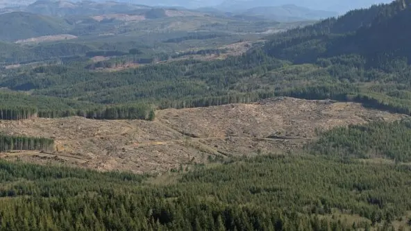 clearcut land & forest near source of Lewis & Clark River in Clatsop County, OR via W. Siegmund
