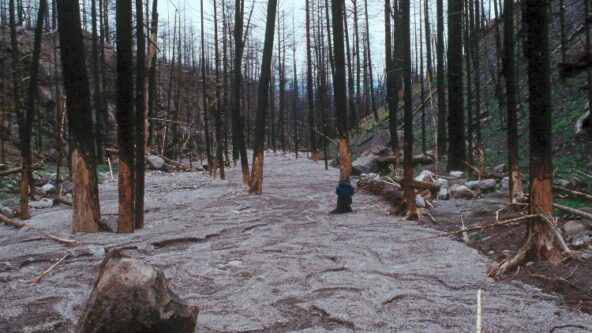 burnt watershed have zones of erosion and zones of deposition; photo taken after Cerro Grande Fire near Los Alamos, NM | photo credit John A. Moody, USGS