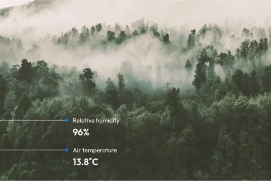 photo fog covering a mountaintop forest with data callouts for