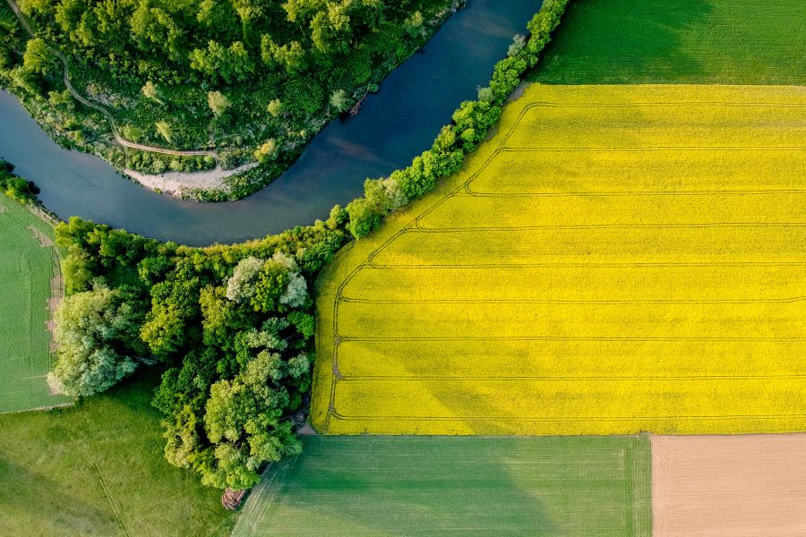 Aerial view of a landscape with trees, fields, a bright yellow rapeseed field and a winding river.