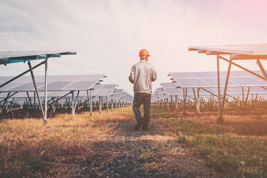 photo man in an orange hardhat walks through a solar farm to inspect solar assets