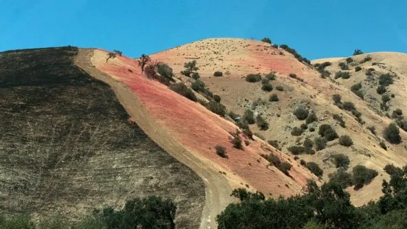 pink fire retardant on LA County hill to contain Tumbleweed Fire 2021; environmental impact unknown