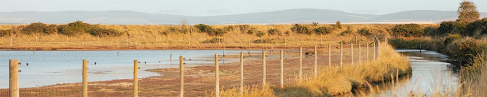 photo of western irrigation channel and banks lined with dry grasses and a fence